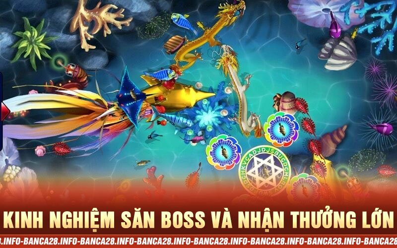 Kinh nghiệm săn Boss và nhận thưởng lớn